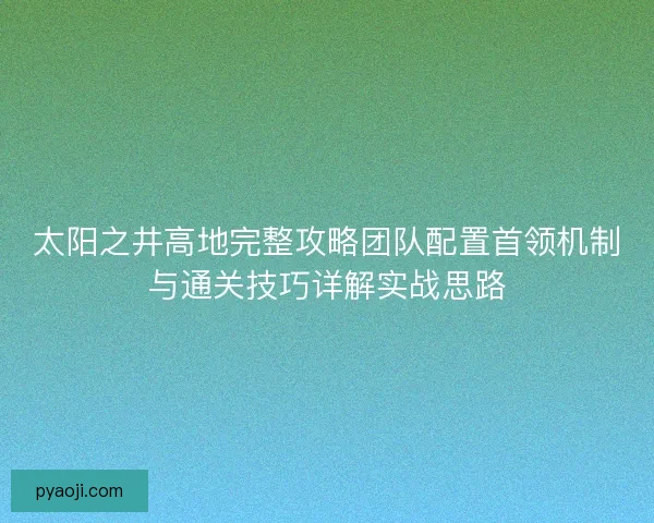 太阳之井高地完整攻略团队配置首领机制与通关技巧详解实战思路